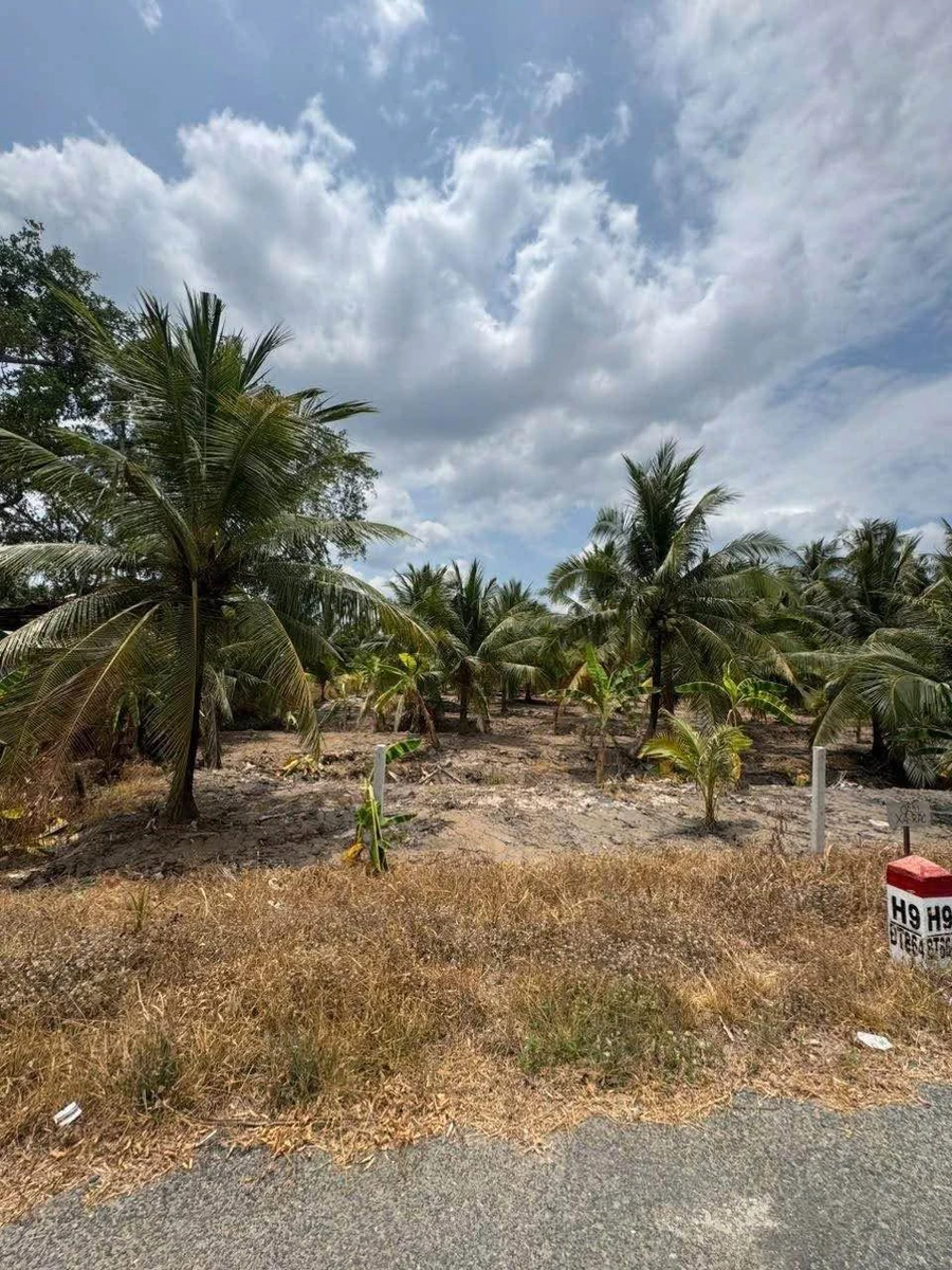 Bán đất 3000m² tại Bình Ninh, Tiền Giang, 2 tỷ 7 - Ảnh 1