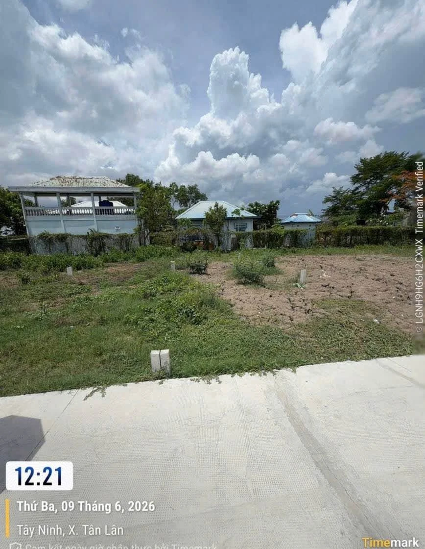 Bán đất 100m² thổ cư Phước Đông Cần Đước 320 triệu - Ảnh thu nhỏ 4