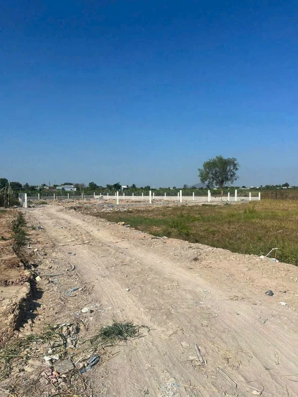 Bán 1000m² đất thôn Hàm Liêm, Phan Thiết 550 triệu