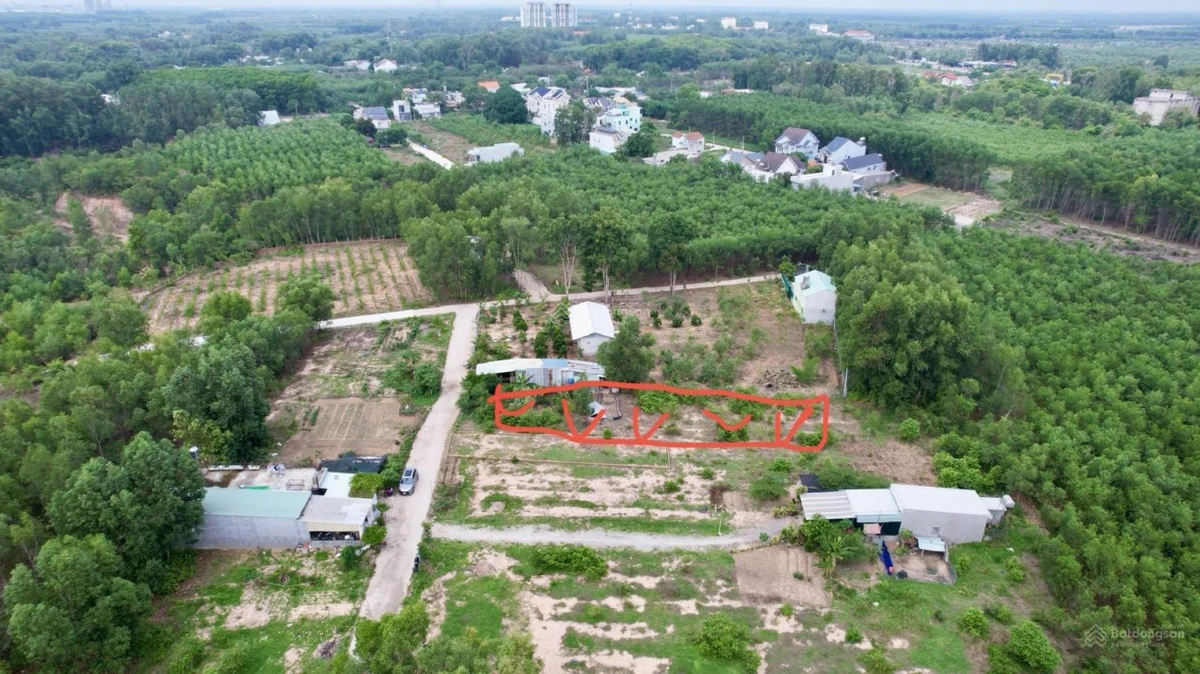 Cần bán đất trung tâm Nhơn Trạch có thổ cư, gần Vành Đai 3 và Cầu Cát Lái - Ảnh thu nhỏ 2