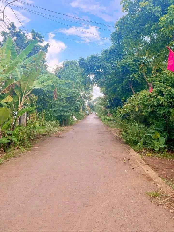 Bán đất 5x40 (200m2) thổ cư 60m2 trục lộ 2 Buôn Ky, phường Thành Nhất, Buôn Ma Thuột giá 1,6 tỷ - Ảnh thu nhỏ 2