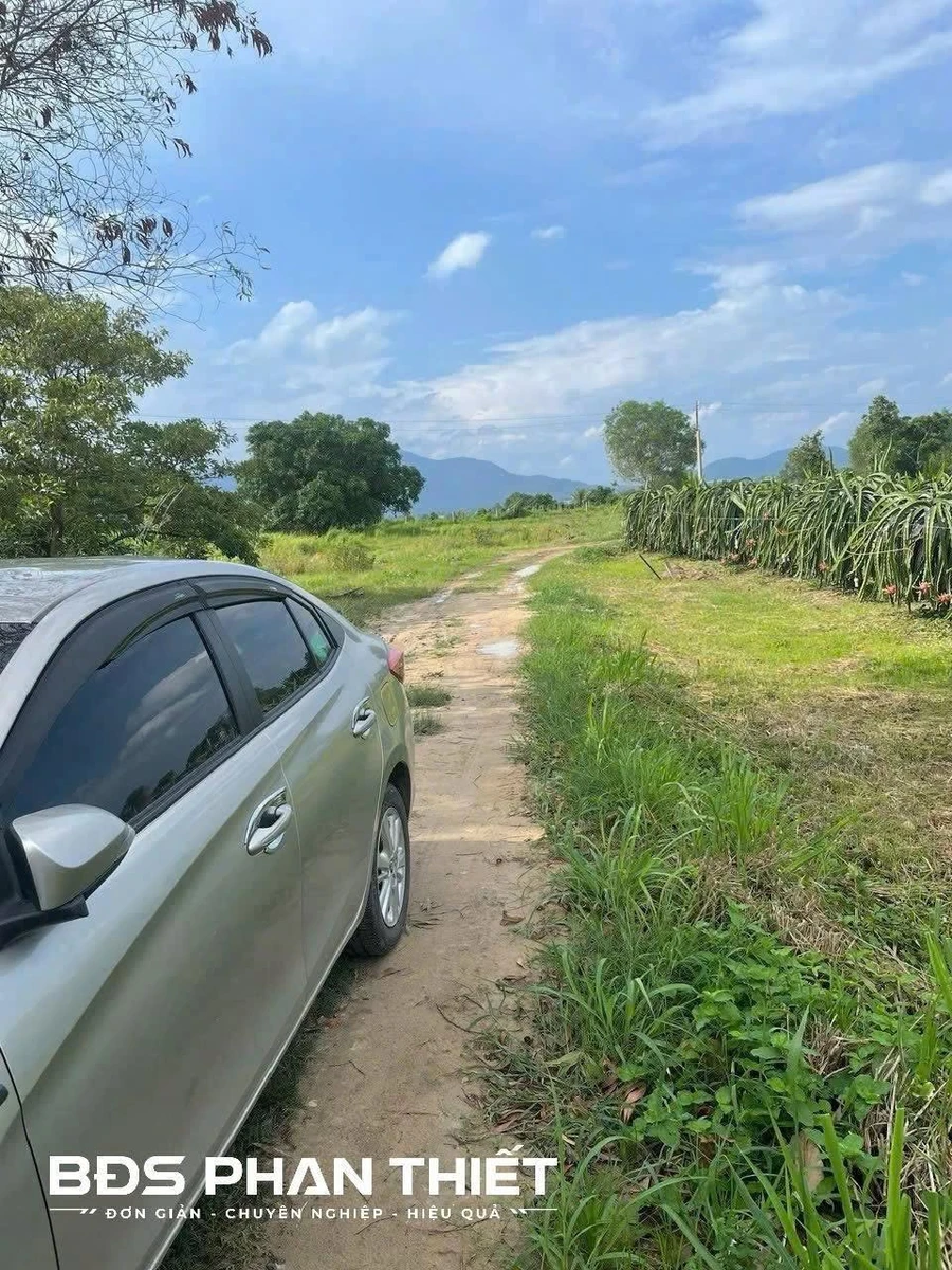 Bán đất vườn 5490 m² tại Phan Thiết, Lâm Đồng - Ảnh thu nhỏ 5
