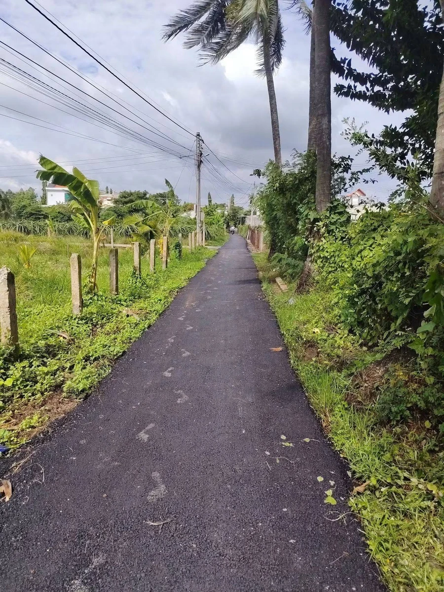 Bán đất thổ cư 110m² Tầm Vu, Châu Thành, Long An 495 triệu - Ảnh thu nhỏ 4