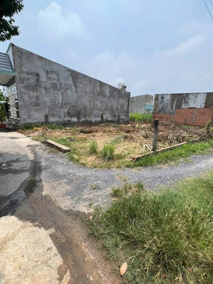 Bán đất 2 mặt hẻm Bình Mỹ Củ Chi 137m² 2,3 tỷ - Ảnh thu nhỏ 4