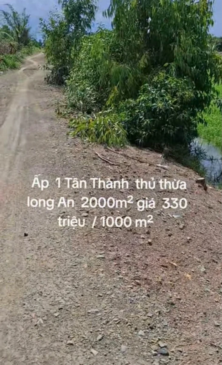 Bán 2 công đất 330 triệu Thủ Thừa Long An - Ảnh 1
