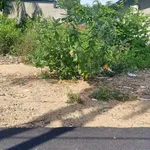 Bán đất Cam Phúc Nam, Cam Ranh, 203 m² - 1,65 tỷ - Ảnh thu nhỏ 2