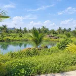 Bán đất nền 1 sào 200m² Xuân Thọ sổ riêng - Ảnh thu nhỏ 1