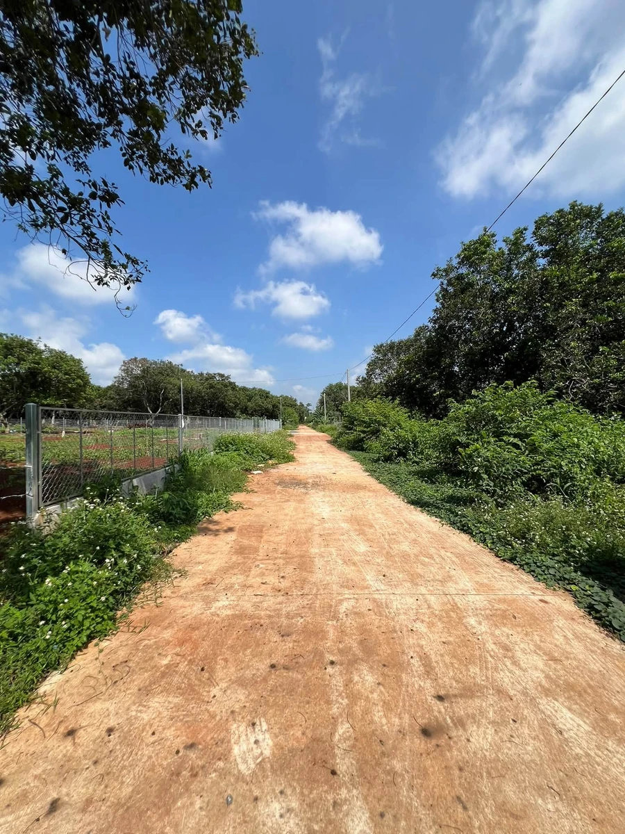 Bán đất 1000m2 trồng cây ăn trái Bình Lộc, Đồng Nai - Ảnh thu nhỏ 4