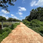 Bán đất 1000m2 trồng cây ăn trái Bình Lộc, Đồng Nai - Ảnh thu nhỏ 4