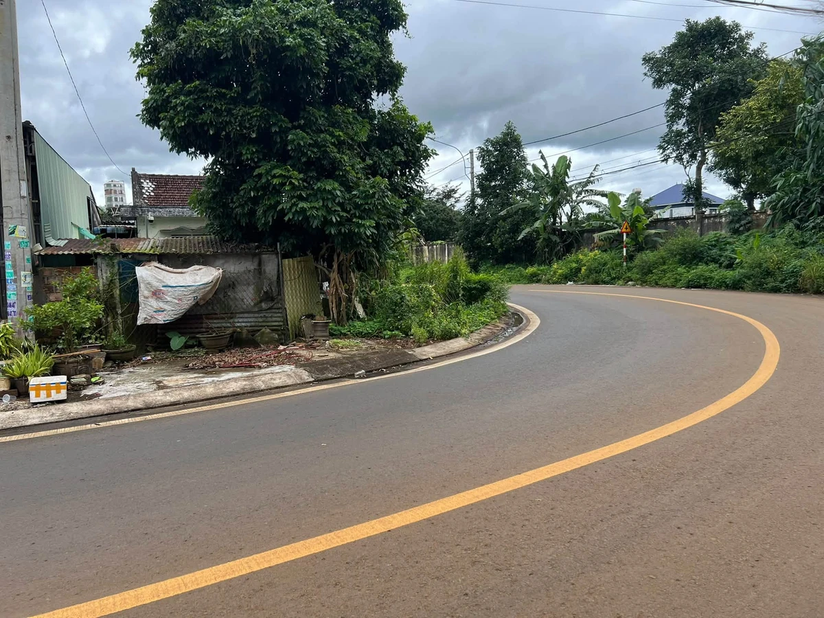 Bán đất lô góc 176.88m² mặt tiền Lạc Long Quân, Q.1 - Ảnh 1