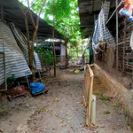 Bán đất trang trại 2300m2 Đồng Nai 2 tỷ 3 - Ảnh thu nhỏ 4