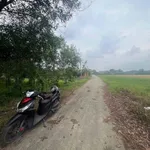 Bán đất mặt tiền đường nhựa Bạch Đằng, Tân Uyên, Bình Dương, 400m2 giá khoảng 2 tỷ - Ảnh thu nhỏ 2