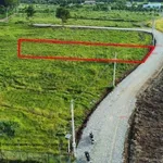 Bán lô đất 150m² Long Tân, Phường Đất Đỏ, 550 triệu - Ảnh thu nhỏ 1