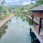 Bán nhà vườn 3,5 sào 2 mặt tiền, 22x150m, giá 3,9 tỷ tại Bắc Gia Nghĩa, Lâm Đồng - Ảnh thu nhỏ 3