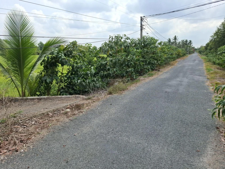 Bán đất tại Xã Tân Lập 1, Huyện Tân Phước, Tiền Giang, 6,9 tỷ, 7000 m2 hàng hiếm giá tốt - Ảnh thu nhỏ 5