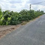 Bán đất tại Xã Tân Lập 1, Huyện Tân Phước, Tiền Giang, 6,9 tỷ, 7000 m2 hàng hiếm giá tốt - Ảnh thu nhỏ 5