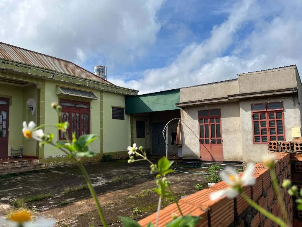 Bán đất 40000m² Xã Tân Hà Cần Giờ 2,5 tỷ - Ảnh 1