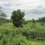 Bán đất tại đường Lò Rèn, Long Hòa, 4,5tr/m2, 3500m2, view đẹp, nhiều tiện ích - Ảnh thu nhỏ 2