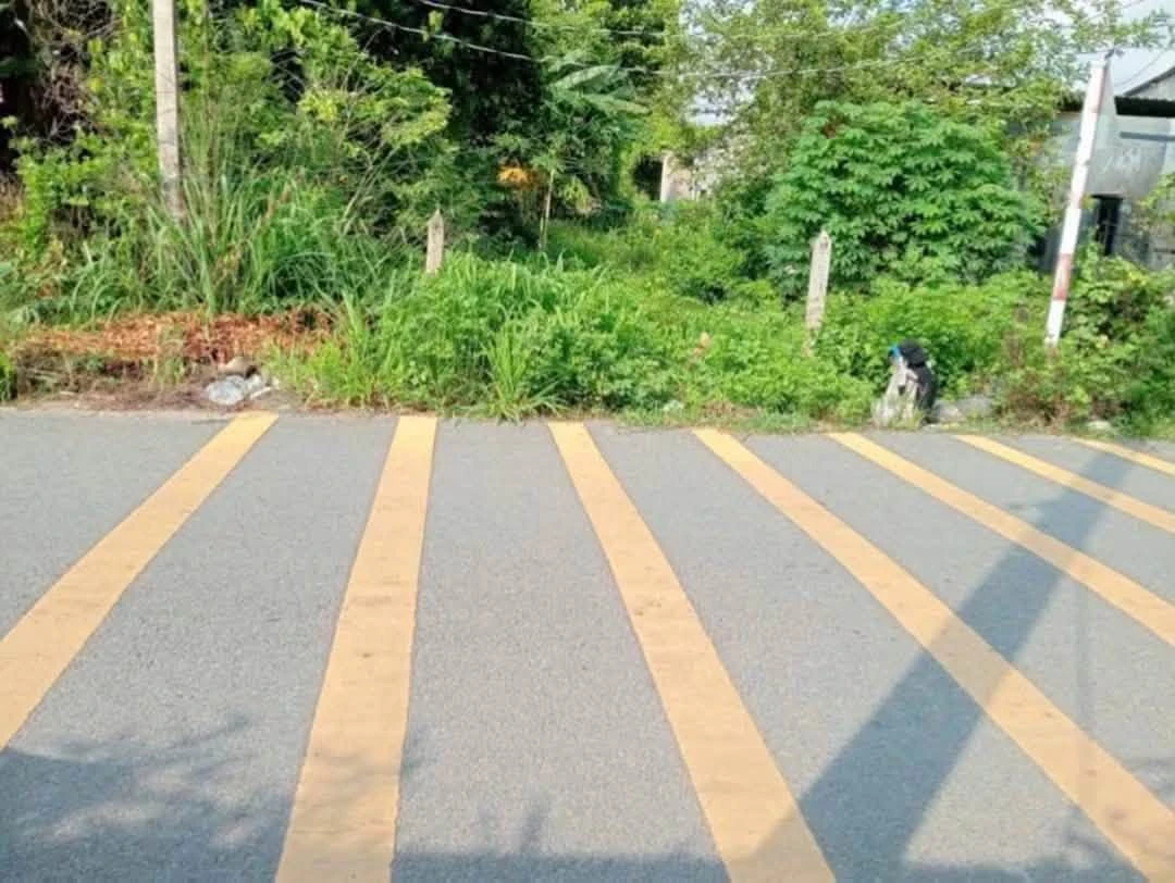 Bán lô đất 2 tỷ Phú An, Thủ Đức, HCM - Ảnh thu nhỏ 2