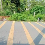Bán lô đất 2 tỷ Phú An, Thủ Đức, HCM - Ảnh thu nhỏ 2