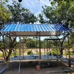 Bán 2ha đất biển Tuy Phong, Bình Thuận, 900k/m² - Ảnh thu nhỏ 4