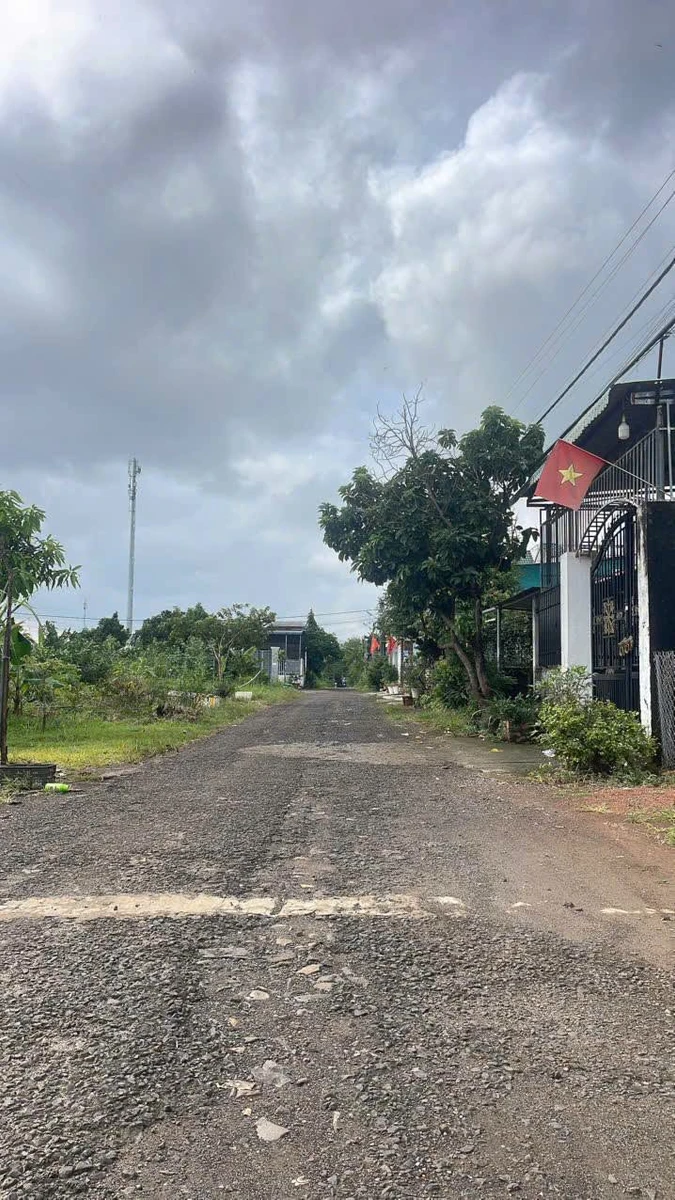Bán đất Khu phố 5 Tiến Thành, 7500m², 900 triệu - Ảnh 1