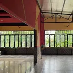 Cho thuê nhà nguyên căn 220m² 1 trệt 2 lầu Đồng Xoài - Ảnh thu nhỏ 5