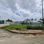 Bán xưởng 19.300m² KCN Phú An Thạnh Bến Lức, giá 145 tỷ - Ảnh thu nhỏ 1