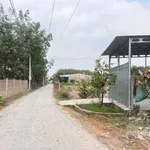 Bán đất sổ hồng riêng 466m2 Thạnh Đức, Gò Dầu, Tây Ninh - Ảnh thu nhỏ 2