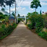 Bán 4.700m² đất vườn dừa tại Vĩnh Long - Ảnh thu nhỏ 1