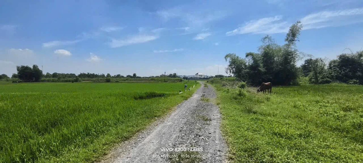 Bán đất 27x35 (945m²) gần Vinhomes, giá 2.2 tỷ - Ảnh thu nhỏ 3