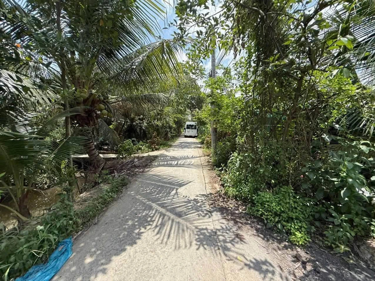 Bán đất trồng cây 500m2 gần KCN Giao Long 900 triệu - Ảnh thu nhỏ 5