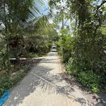 Bán đất trồng cây 500m2 gần KCN Giao Long 900 triệu - Ảnh thu nhỏ 5