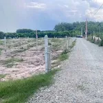 Bán đất nền 155m² Trương Mít, Tây Ninh 209 triệu - Ảnh thu nhỏ 1