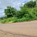 Bán rẫy cà phê 4,5 ha Đắk Lắk, có cơ sở vật chất - Ảnh thu nhỏ 2