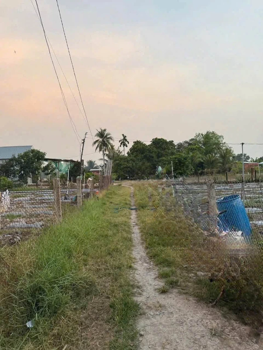 Bán 968m² đất tại Phường Ninh Thạnh, Tây Ninh, giá 1 tỷ 150 triệu - Ảnh thu nhỏ 4
