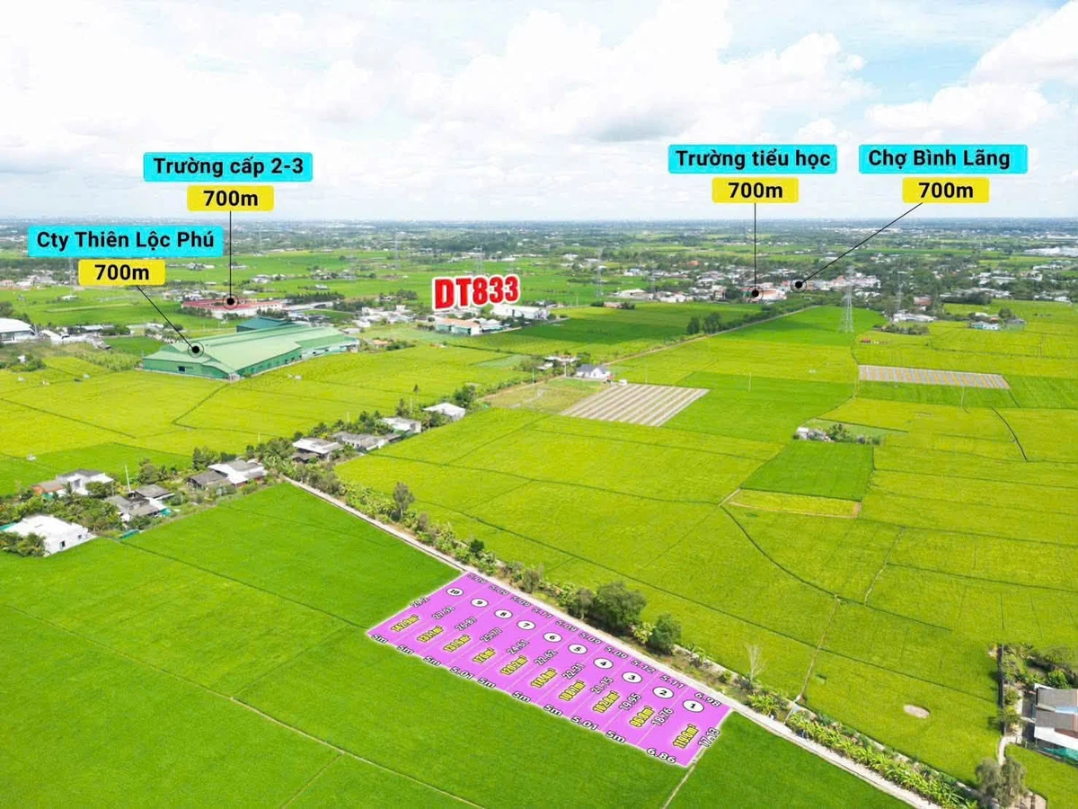 Bán đất 120m² Trần Văn Thiệp Tân Trụ, Bình Dương 340 triệu - Ảnh thu nhỏ 4