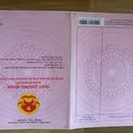Bán lô đất cây trồng 8 sào 8 Hàm Cường, Bình Thuận 4,2 tỷ - Ảnh thu nhỏ 2