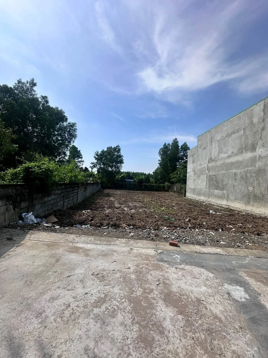 Bán đất vườn 600m² tại Tân Triều, Nhà Bè - 1 tỷ 290 triệu - Ảnh thu nhỏ 2