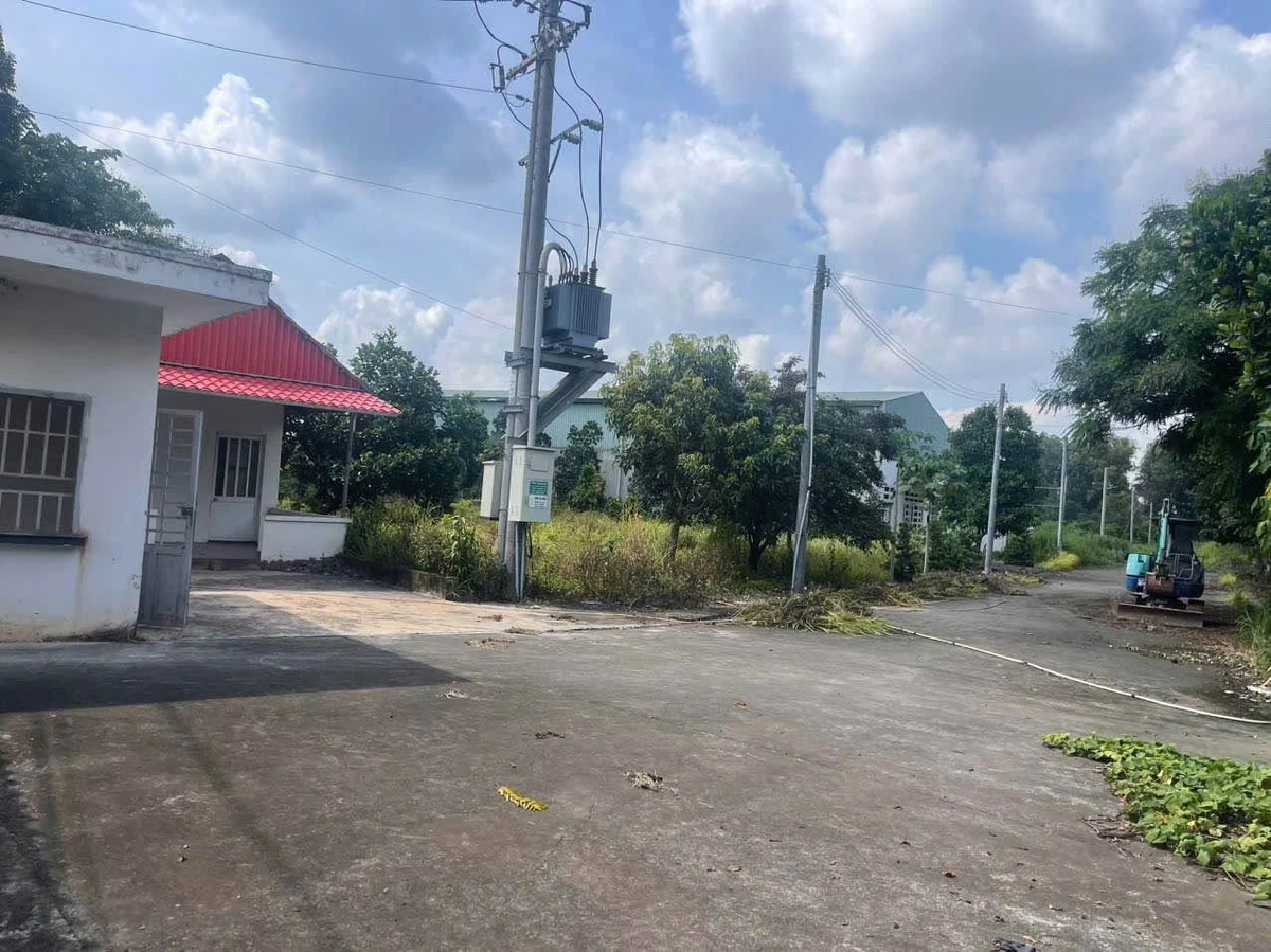 Cho thuê xưởng và đất 10.000m2 gần KCN Giang Điền, Đồng Nai - Ảnh thu nhỏ 4