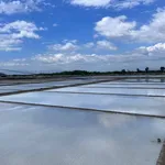 Bán đất ruộng muối 1 hecta Ninh Hải, Khánh Hòa 3 tỷ 350 triệu - Ảnh thu nhỏ 3