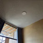 Bán hoặc cho thuê nhà hẻm xe hơi 3PN 80m² Nguyễn Hoàng - Ảnh thu nhỏ 4