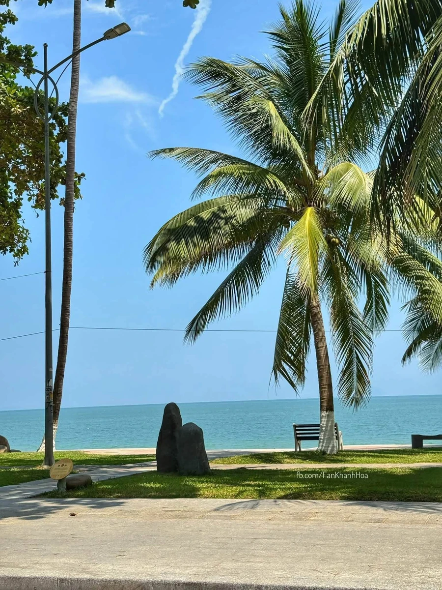 Bán đất hẻm 148m² Trần Phú Nha Trang gần biển 30 tỷ - Ảnh 1
