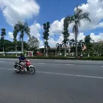 Bán đất tại Quốc lộ 60, xã Sơn Đông, thành phố Bến Tre, 12 tỷ, 546m2 - Ảnh thu nhỏ 3