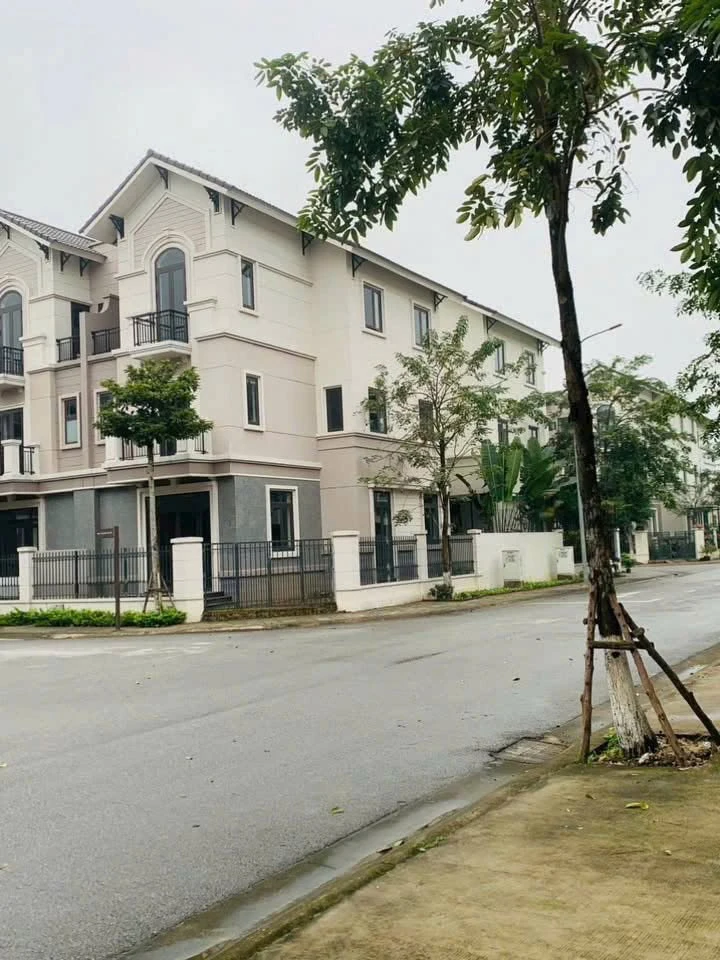 Bán biệt thự 135m² Centa City VSIP Bắc Ninh giá 8,5 tỷ - Ảnh 1