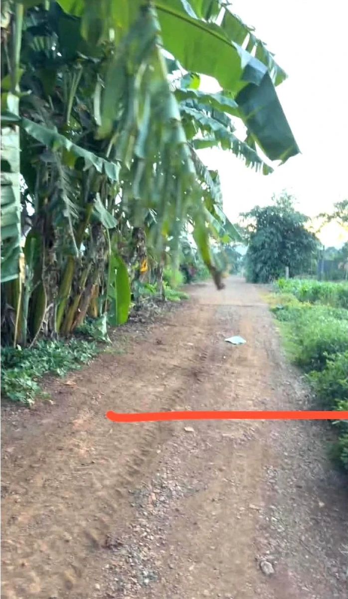 Bán đất Ea Drông, Buôn Hồ, 300 m² - Ảnh thu nhỏ 4