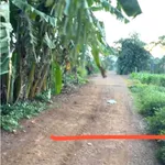 Bán đất Ea Drông, Buôn Hồ, 300 m² - Ảnh thu nhỏ 4