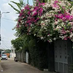 Bán đất 48m2 trung tâm gần Coopmart, Quận 5 - Ảnh thu nhỏ 1