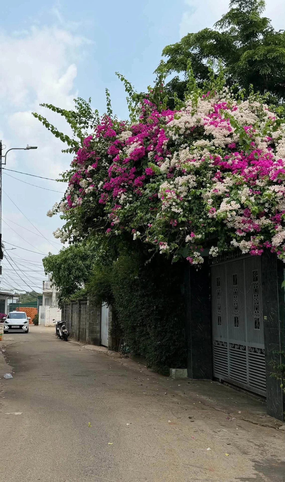 Bán đất 48m2 trung tâm gần Coopmart, Quận 5 - Ảnh 1