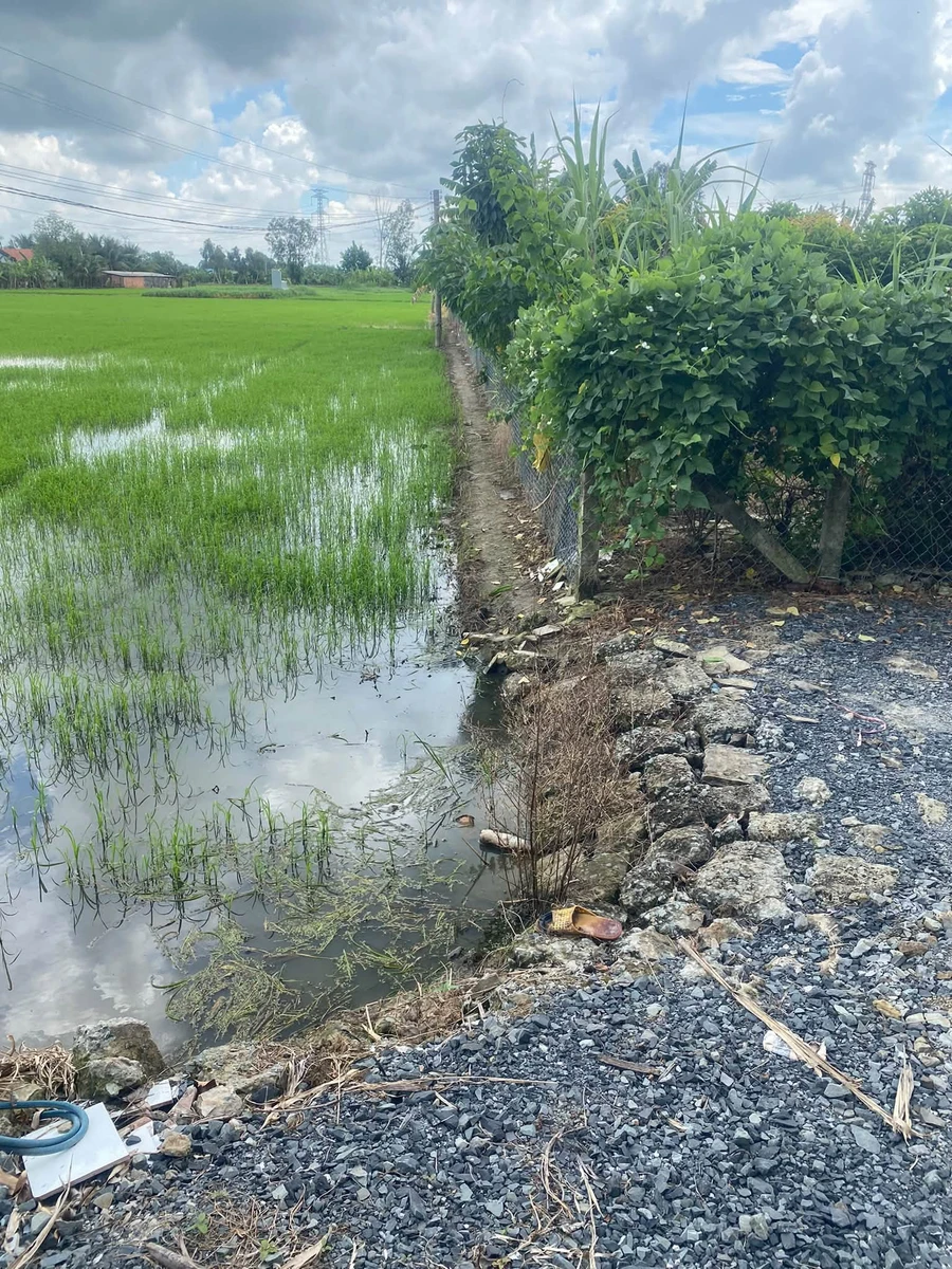Bán đất lúa 2090 m² Bình Lãng, Tân Trụ, Long An - Ảnh thu nhỏ 3